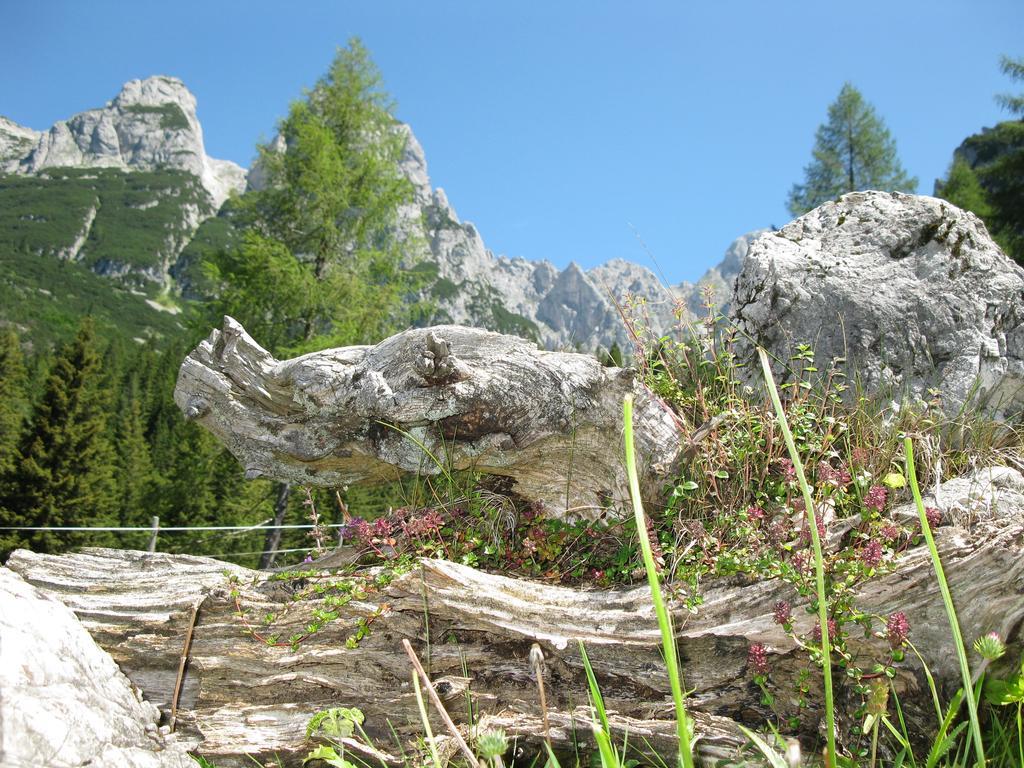 Апартаменти Hausmenneweger Аннаберґ-ім-Ламмерталь Номер фото